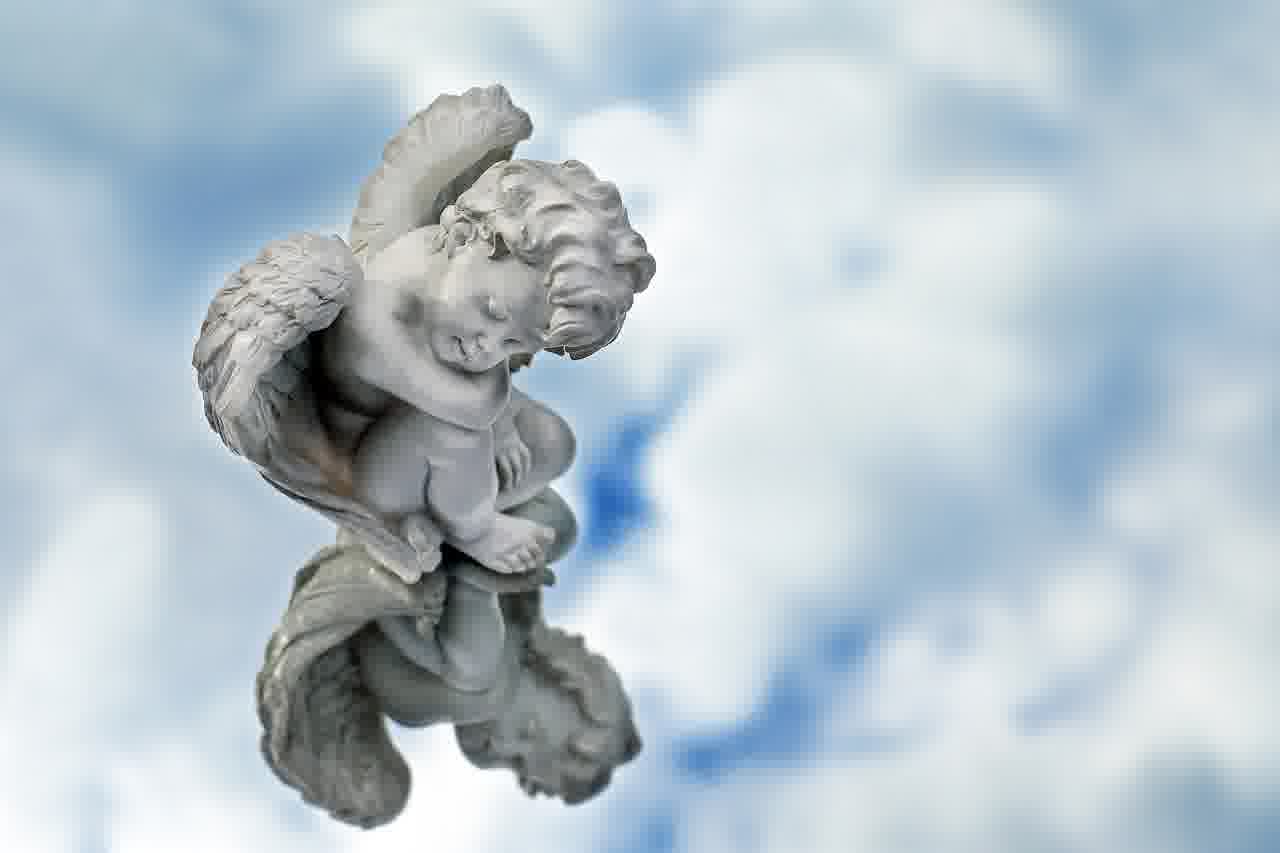 대전한화생명볼파크 명당 좌석 위치