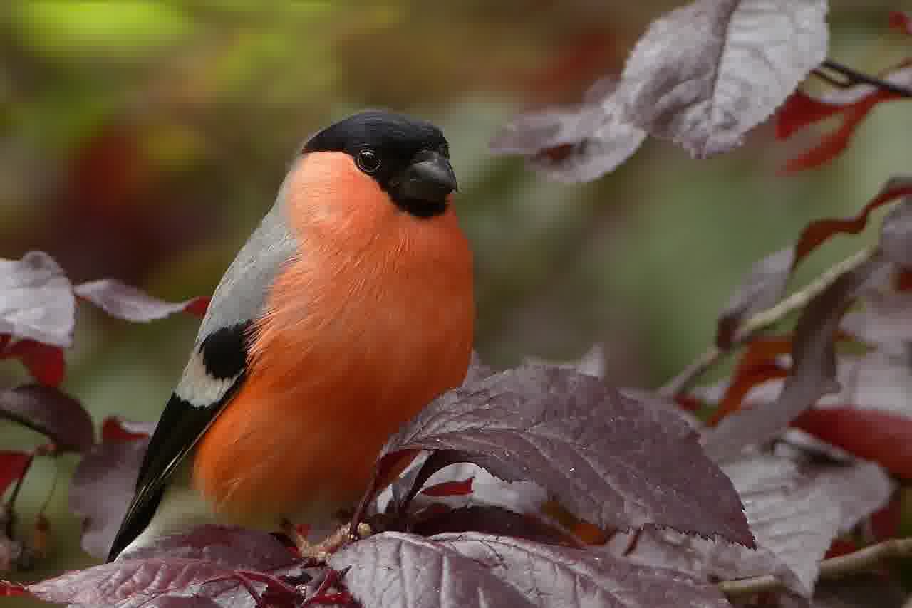대전한화생명볼파크 캐치볼 보기 좋은 좌석