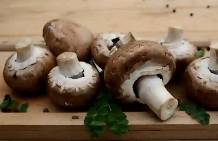 초보도 쉽게 따라 할 수 있는 온라인 부업
