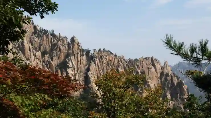 강원도 평창 가볼만한곳, 놓치면 아쉬운 스팟 5곳