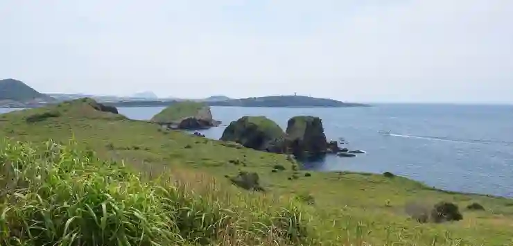 제주 애견 동반 호텔과 반려견 시설 안내, 여기는 천국