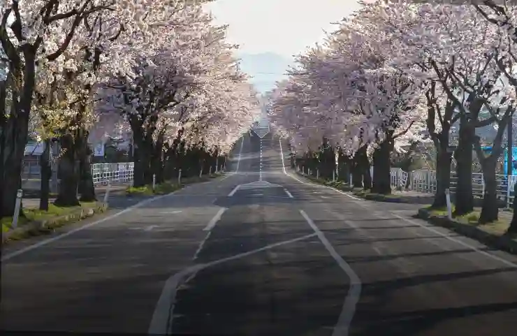 가족과 가기 좋은 벚꽃 여행지 7선