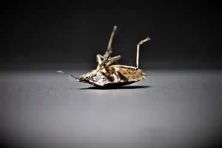 대전한화생명볼파크 스낵존 근처 최적의 좌석 선택법