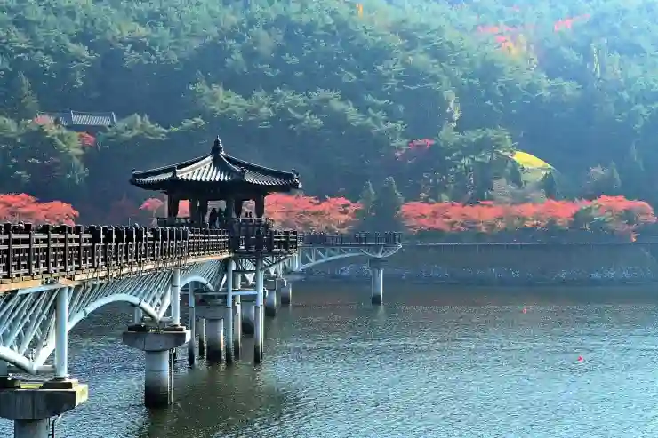 2025년 안동 겨울 필수 방문지 추천과 놓치면 후회할 핫플 꿀팁