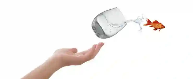 여행 경비 아끼는 5가지 비법! 지갑도 웃는 여행의 비밀을 알아보기