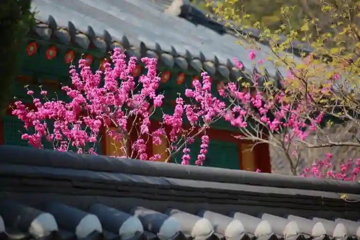 제주 전통 찻집과 한옥 감성 카페 여행 꿀팁! 특별한 분위기 속에서 만나는 진짜 제주의 멋