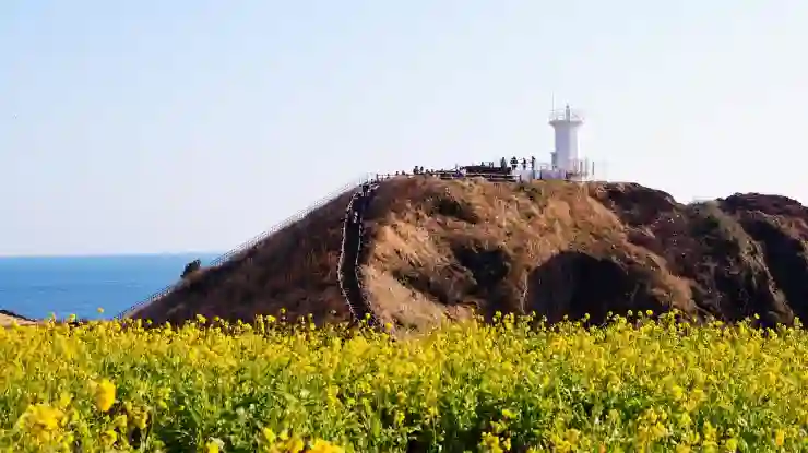제주도 1월 겨울 여행 필수 코스 10곳 알아보기: 감성 가득한 겨울 제주 여행 꿀팁