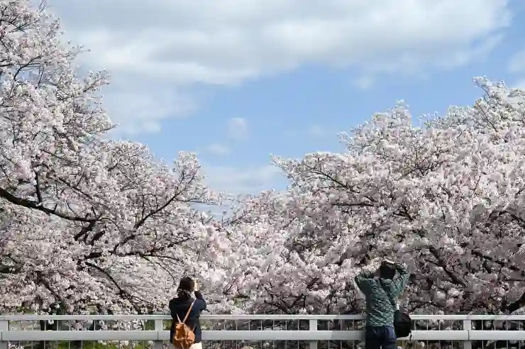 2023년 지역별 벚꽃 축제 완벽 가이드 지금 바로 알아보기!