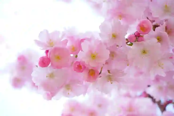 안랩 V3 모바일 시큐리티 무료 백신앱(보안앱)으로 스미싱에 대비하자