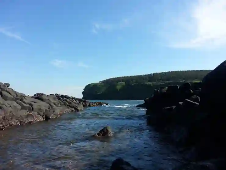 제주도 2월 가볼만한곳 10곳, 놓치지 마세요