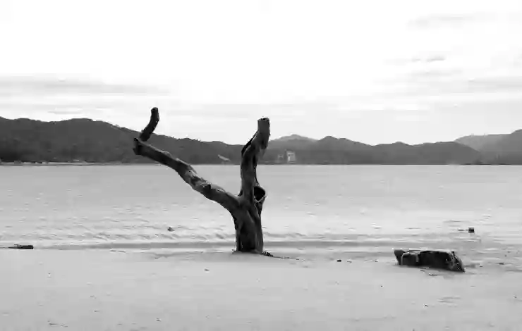 경기도 광주 가볼만한곳, 숨은 명소 총정리