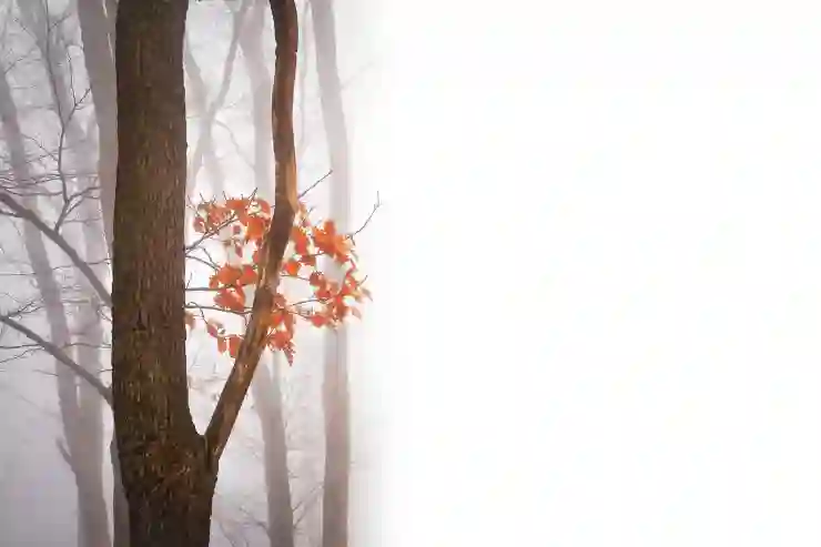 10월 제주도 가볼만한곳 10곳, 여기가 핫해