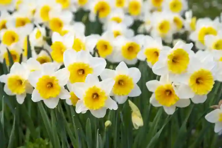 유튜브 재생목록 간편하게 삭제하고 추가하는 법 알아보기