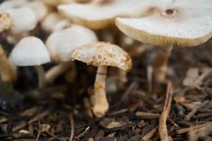 옆커폰으로 휴대폰 성지 시세 쉽게 알아보는 법