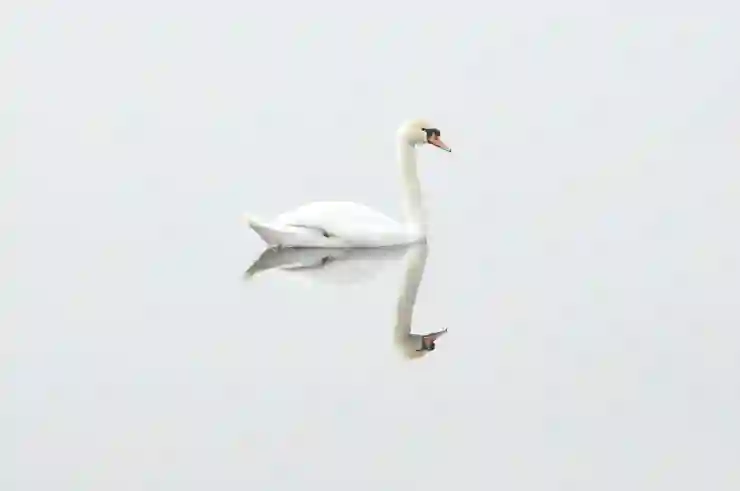 그림 그려주는 AI 사이트 무료 이미지 만들기 활용법