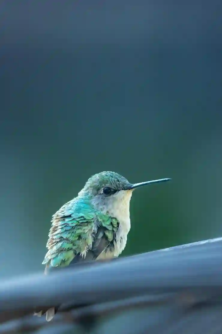 아이패드 화면분할 PiP 모드도 되네