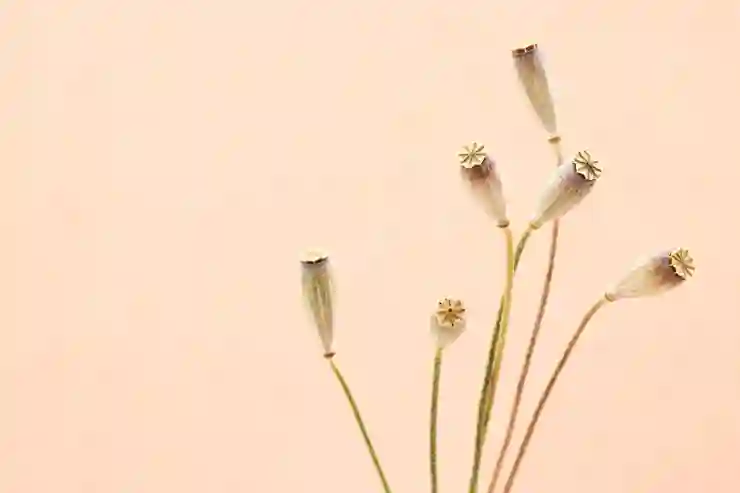 모바일 카카오톡 로그아웃 연결된 PC도 여기서 해결