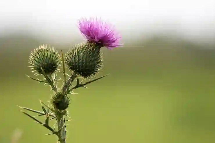 아이폰 차량 모션큐 사용법 차멀미 방지 기능 과연 효과는?