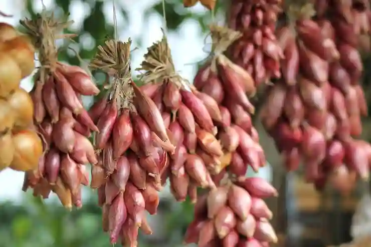 영상 만들기 숏폼 콘텐츠의 매력 알아보기