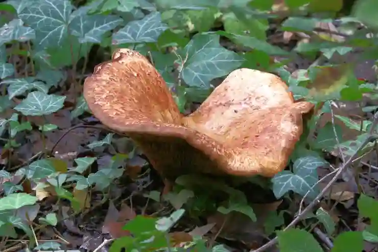 여름 습기 문제를 해결하는 위닉스 10L 제습기 사용법 알아보기