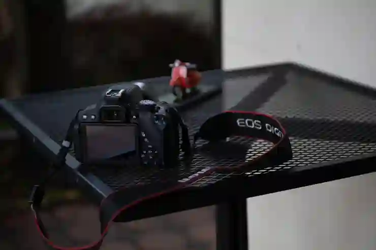 여름을 담다! EOS R8 정품등록 프로모션으로 캐논과 함께하는 특별한 순간들