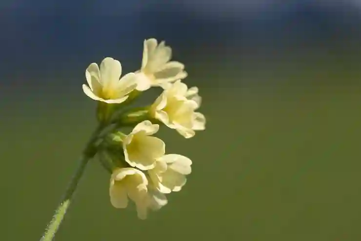 데이터 안전을 위한 백업과 복구 전략 살펴보기