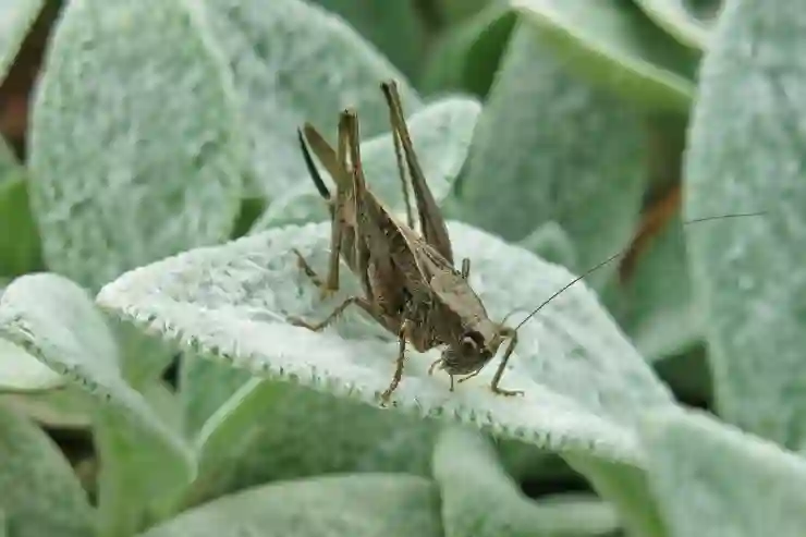 가족과 함께 즐기는 올레티비 지니게임 리모컨으로 느끼는 꿀잼