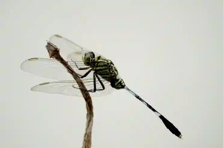 나의 잠자리 업그레이드, 스마큐브 무중력 베개 괜찮네