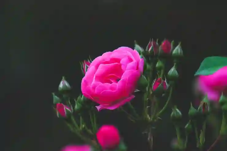 2017 구글플레이 인기 앱과 게임의 매력 알아보기