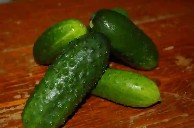 데이터무제한의 시대, 빠르고 가볍게 즐기는 방법 알아보기