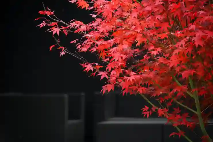 코어젬스톤 강화와 제작의 모든 것 알아보기