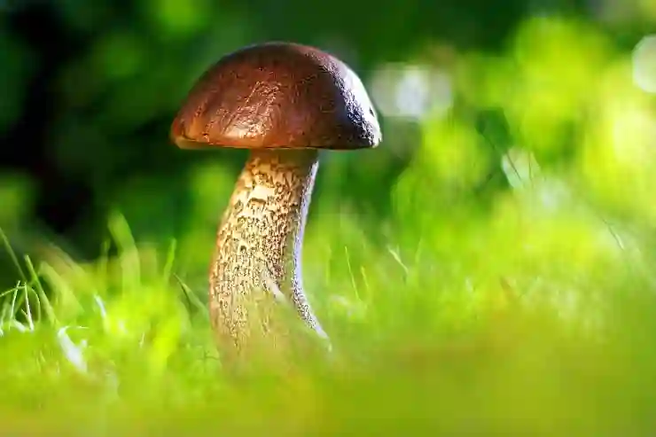 세부 자유여행 필수 아이템, KT 데이터 로밍으로 완벽하게 즐기기