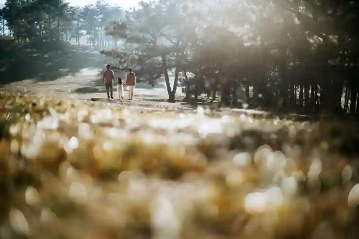 추석 귀성길, 원내비로 편안하게 여행하는 법