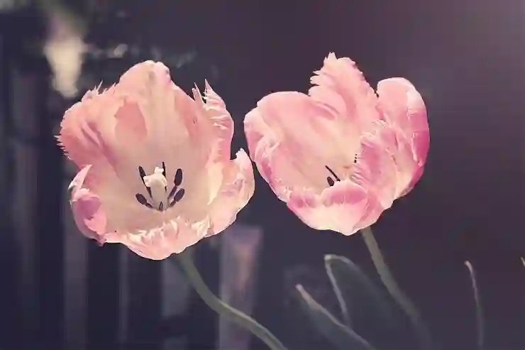 카카오톡 대화내용 백업과 복원, 이렇게 간단할 줄이야!