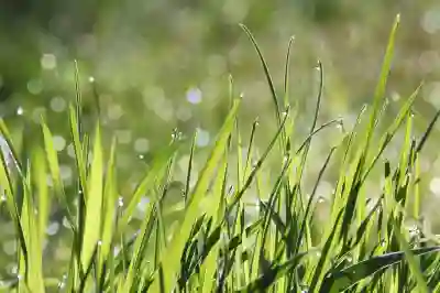 블레이드앤소울 레볼루션 암살자 업데이트 살펴보기
