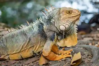 LG전자 32GK650F 게이밍 모니터 무료체험 이벤트 알아보자