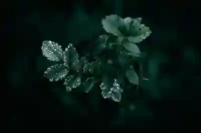 라이트룸으로 어두운 사진 밝기 조정과 노이즈 제거하는 꿀팁 알아보자