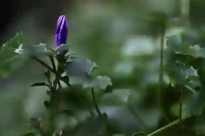 삼성 건조기 체험단 신청하는 꿀팁 알아보자