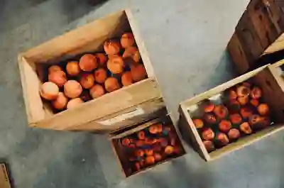아이폰 용량 늘리기 위한 시놀로지 나스 활용 꿀팁 알아보자