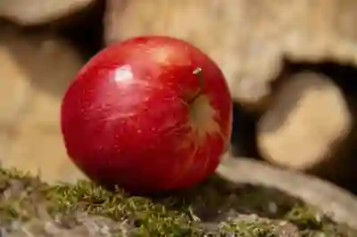 애플워치 공장 초기화 및 연결 해제 방법 살펴보자
