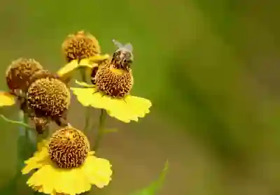 서울시 대학(원)생 학자금대출 이자지원 신청 방법 알아보자