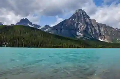 조용필 콘서트 다시보기와 티켓예매 꿀팁 알아보기