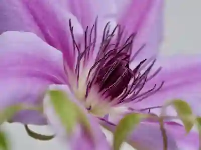 LG 에어컨 CH38 에러코드 원인과 해결방법 살펴보기