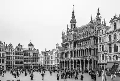 MLS 중계 시청과 손흥민 LAFC 경기 즐기는 방법 알아보자