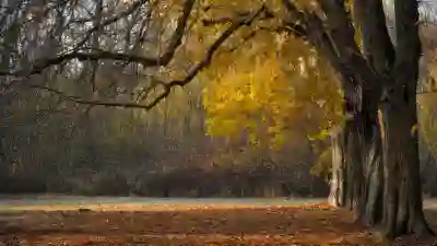 전입신고 하는법 알아보기