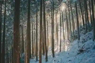 일본 여행 비짓재팬 웹 등록방법 비자 큐알 총정리