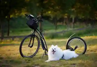 수원 현역가왕2 콘서트 티켓 예매, 일정, 라인업, 장소