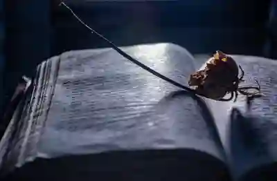 2026년 신년운세 무료 사이트 추천 3곳