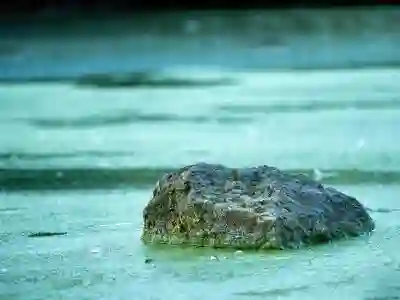 2025년 경기도 청년기본소득 4분기 신청방법 총정리