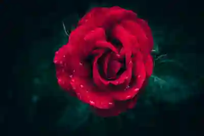 정기 예금과 적금 차이 비교: 내게 맞는 상품은?